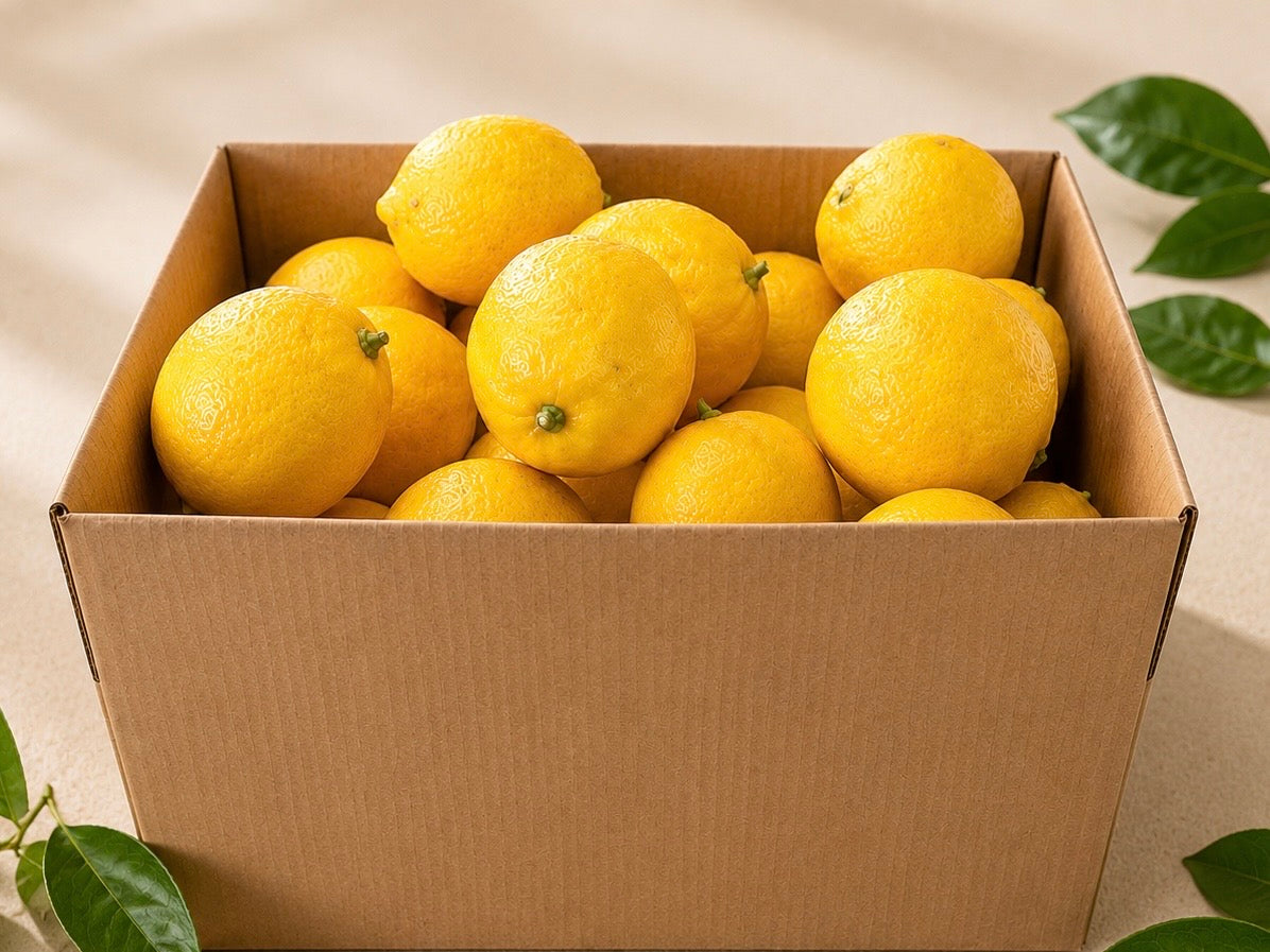 Premium Waikato Lemons - Freshly Picked to Order