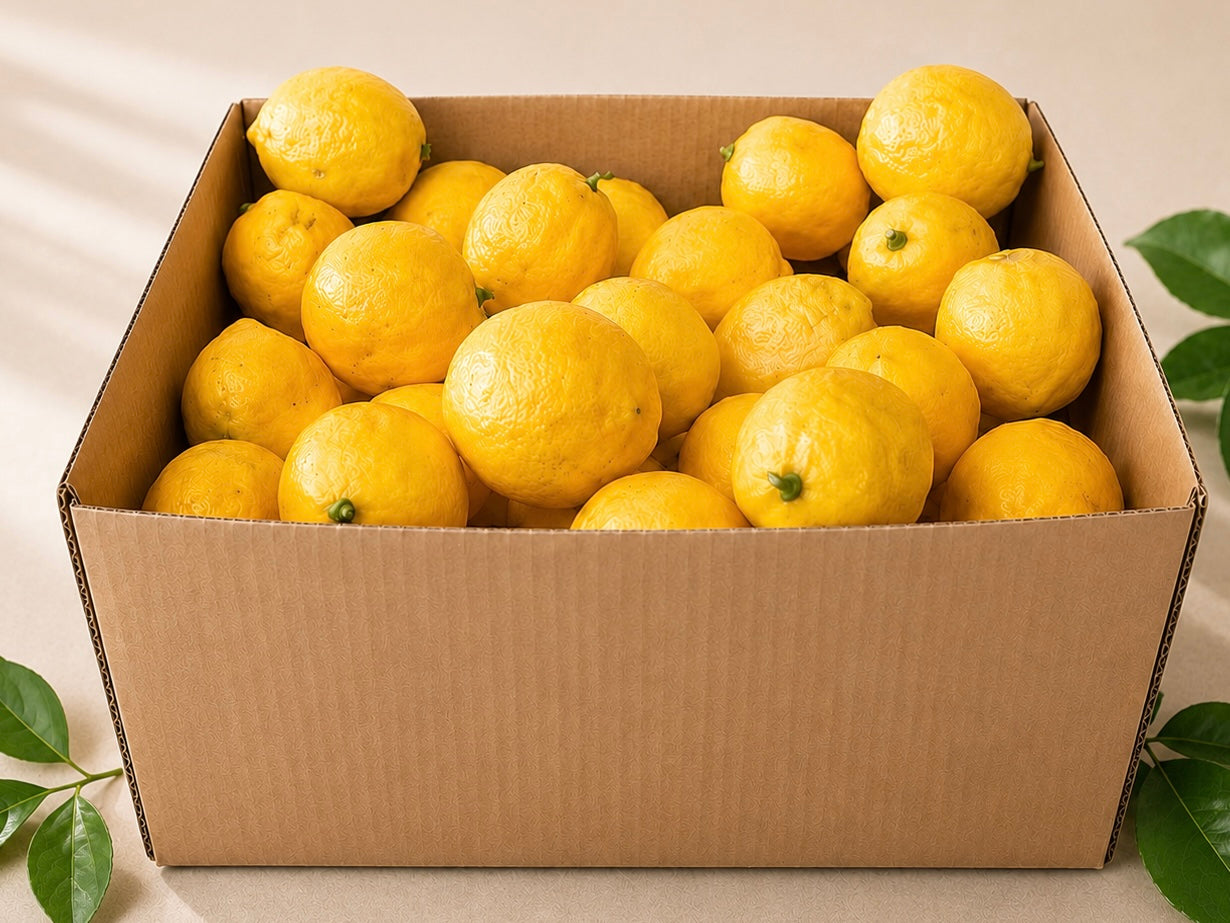 Premium Waikato Lemons - Freshly Picked to Order
